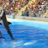 Marineland